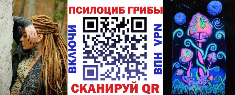 Галлюциногенные грибы Psilocybe  Верхняя Пышма 