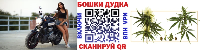ссылка на мегу как войти  Верхняя Пышма  Марихуана VHQ 
